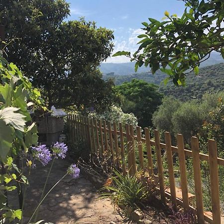 Villa Casa Relax, un uliveto sul mare. Diano San Pietro Esterno foto