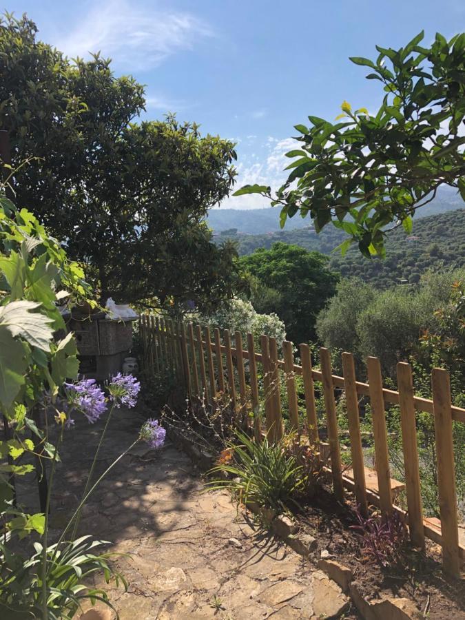 Villa Casa Relax, un uliveto sul mare. Diano San Pietro Esterno foto
